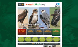 Kuwaitbirds.org thumbnail