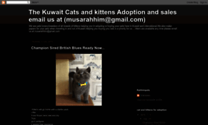 Kuwaitcatsandkittens.blogspot.com thumbnail