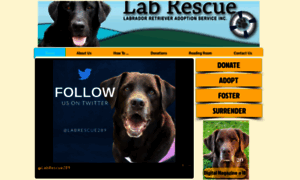 Lab-rescue.ca thumbnail