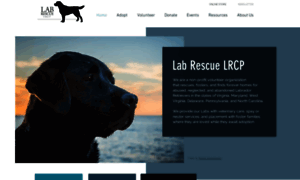 Lab-rescue.org thumbnail