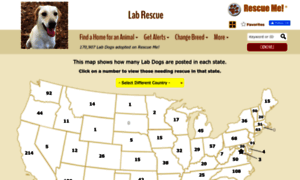 Lab.rescueme.org thumbnail