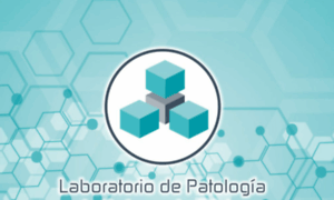 Laboratorioclinico.mx thumbnail