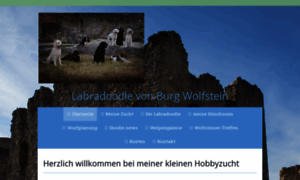 Labradoodle-von-burg-wolfstein.de thumbnail