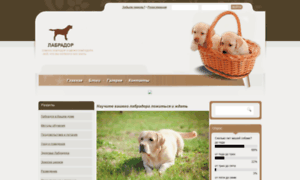 Labrador-retriver.ru thumbnail