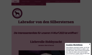 Labrador-von-den-silbersternen.de thumbnail