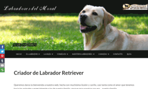 Labradoresdelmoral.com thumbnail