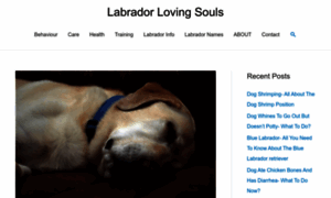 Labradorlovingsouls.com thumbnail