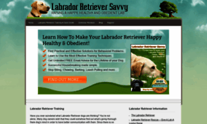 Labradorretrieversavvy.com thumbnail