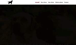 Labradors-dog.com thumbnail