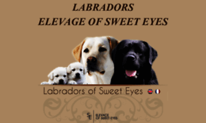 Labradorsofsweeteyes.com thumbnail