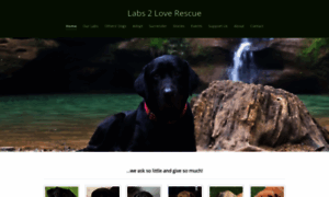 Labs2loverescue.org thumbnail