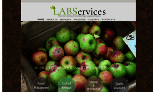 Labservices.com thumbnail