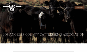 Lacattlemen.org thumbnail