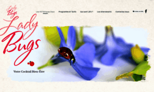 Ladybugs.fr thumbnail