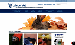 Lafebervet.com thumbnail