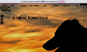 Laguiadelbordercollie.com thumbnail