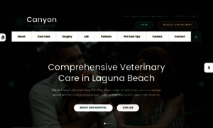 Lagunacanyonvet.com thumbnail