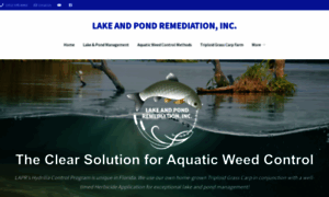 Lakeandpondremediation.com thumbnail