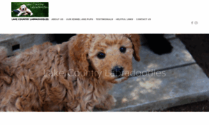 Lakecountrylabradoodles.com thumbnail