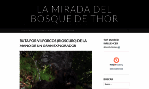 Lamiradadelbosquedethor.wordpress.com thumbnail