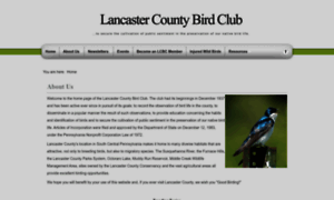 Lancasterbirdclub.org thumbnail