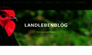 Landlebenblog.org.w010b542.kasserver.com thumbnail