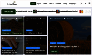Landlive.de thumbnail