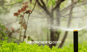 Landscaping.com thumbnail