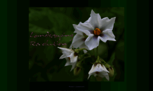 Landscapingrevolution.com thumbnail