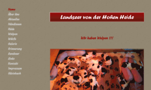 Landseer-von-der-hohen-heide.de thumbnail