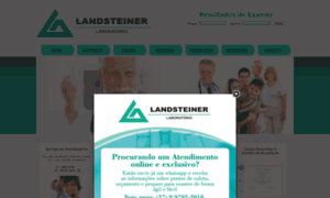 Landsteiner.com.br thumbnail