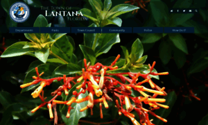 Lantana.org thumbnail