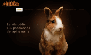 Lapin-nain.net thumbnail