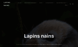 Lapinsnains.fr thumbnail