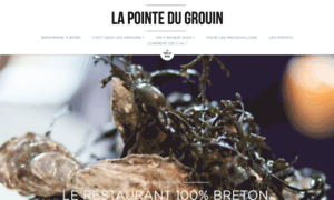 Lapointedugrouin.com thumbnail