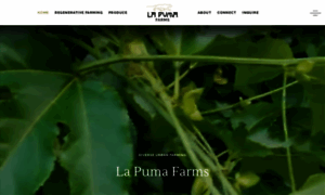 Lapumafarms.com thumbnail