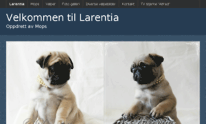 Larentia.net thumbnail