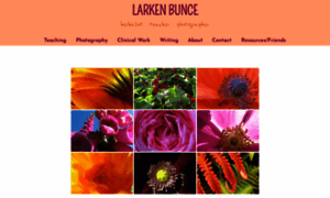 Larkenbunce.com thumbnail