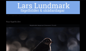 Larslundmark.se thumbnail