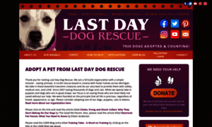 Lastdaydogrescue.org thumbnail