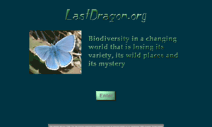 Lastdragon.org thumbnail