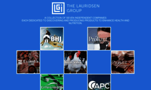 Lauridsengroupinc.com thumbnail