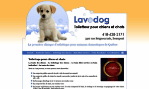 Lavodog.com thumbnail