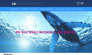 Lawhalewatching.com thumbnail