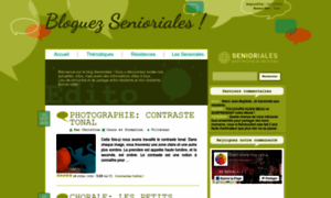 Le-blog-des-senioriales.fr thumbnail