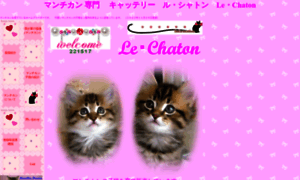 Le-chaton.jp thumbnail