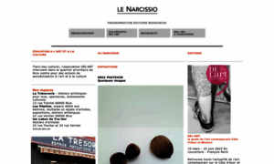 Le-narcissio.fr thumbnail