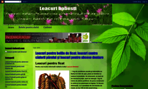 Leacuri-babesti-eu.blogspot.com thumbnail
