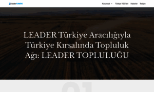 Leaderturkiye.org thumbnail