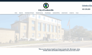 Leakesvillems.com thumbnail